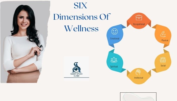 6 Dimensions of WELLNESS